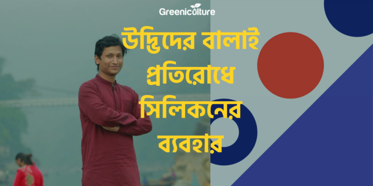 Uses of silicon in plants