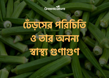 Ladies finger benefits