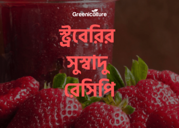 Strawberry recipe