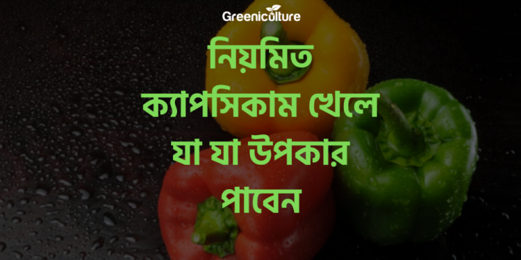 Capsicum Benefits