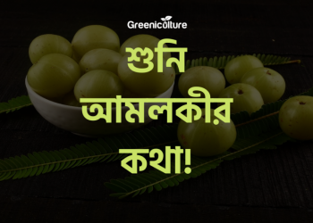 Indian Gooseberry