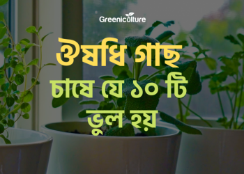 Medicinal Plants problem