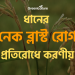 ধানের নেক ব্লাস্ট রোগ প্রতিরোধে করণীয় 11 Neck Blast of rice