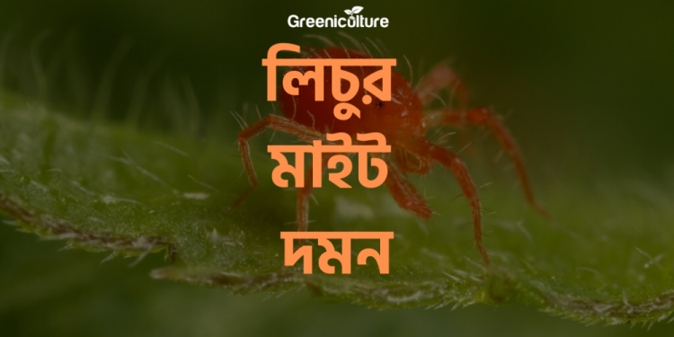 Protecting from litchi mite