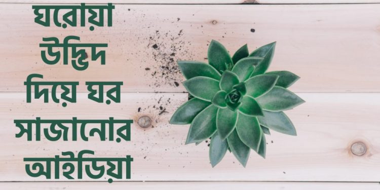 Home design with indoor plants