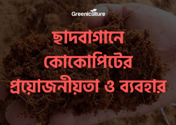 Uses of cocopeat