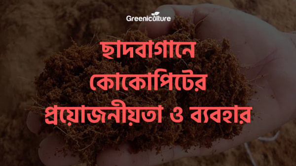 Uses of cocopeat