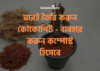 Cocopeat as compost