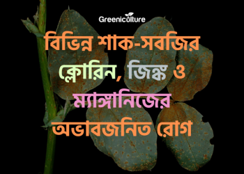 Chlorine, zinc, manganese diseases