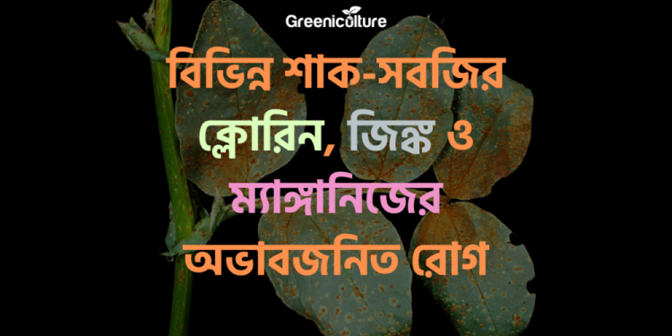 Chlorine, zinc, manganese diseases