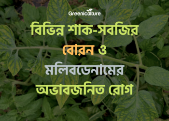 Boron and molybdenum diseases of plants