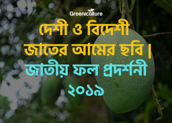 National Fruit Showcasing 2019