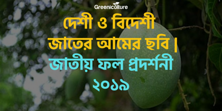 National Fruit Showcasing 2019