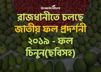 National Fruit Showcasing