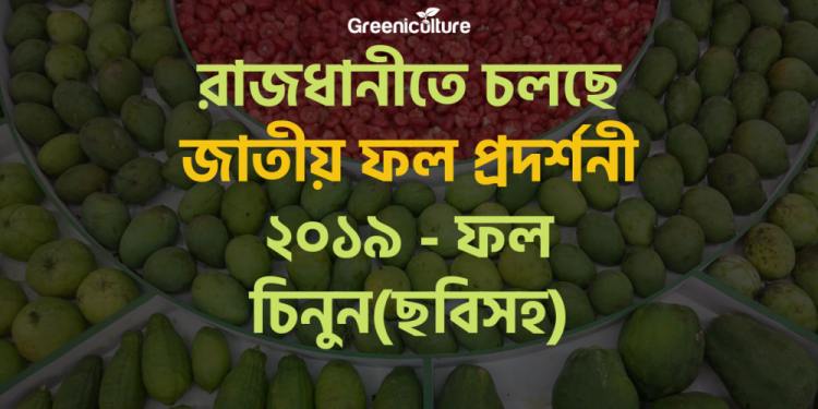 National Fruit Showcasing