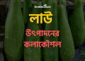 Growing Bottle Gourd