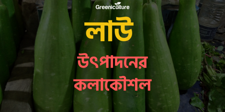 Growing Bottle Gourd