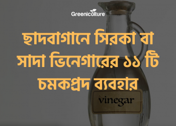 Vinegar using for gardeing