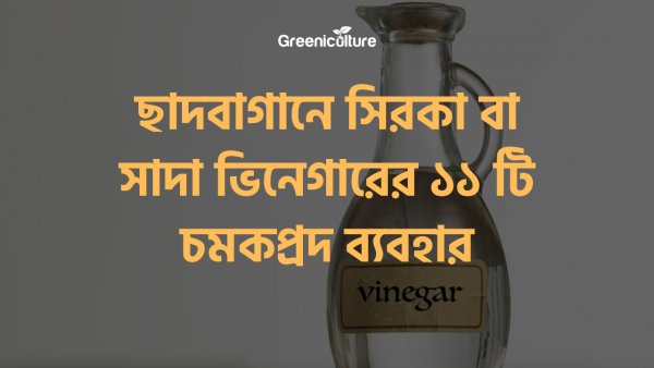 Vinegar using for gardeing