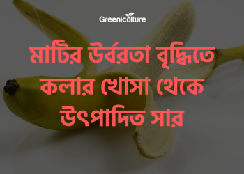 banana-peel-as-a-fertilizer