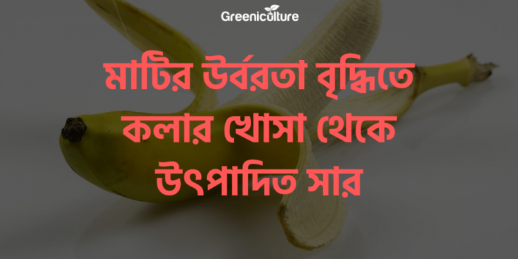 banana-peel-as-a-fertilizer