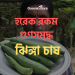 হরেক রকম গুণসমৃদ্ধ ঝিঙ্গা চাষ 19 Jhinga