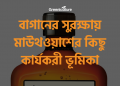বাগানের সুরক্ষায় মাউথওয়াশের কিছু কার্যকরী ভূমিকা 9 Using Mouth freshener for gardens
