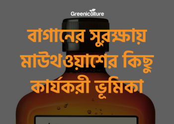 Using Mouth freshener for gardens