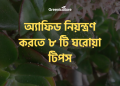 অ্যাফিড নিয়ন্ত্রণ করতে ৮ টি ঘরোয়া টিপস 10 Aphids