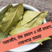 Uses of Bay leaf