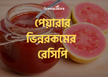 Guava Recipe