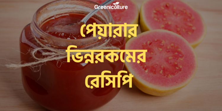 Guava Recipe