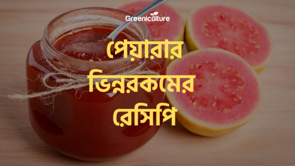 Guava Recipe