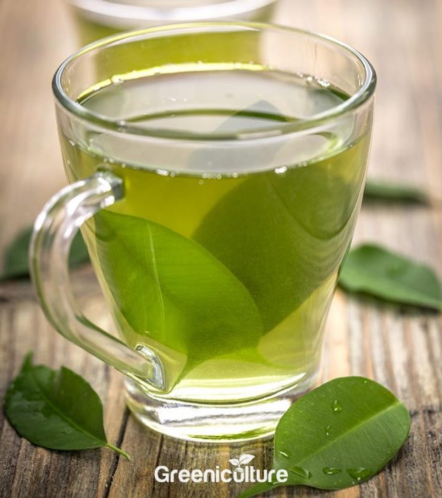 Green Tea in Transparent Glass