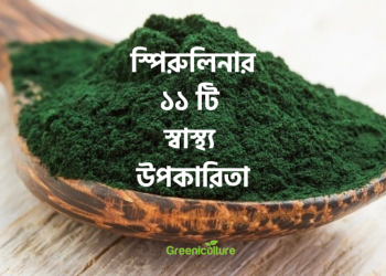Spirulina