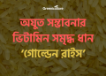 Golden Rice