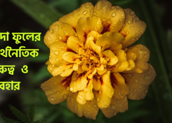 Economical Value of Marigold