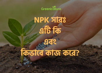 NPK Fertilizer