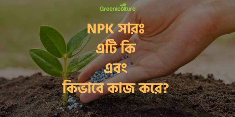 NPK Fertilizer