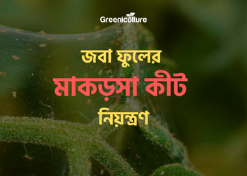 Spider mite prevents from flower