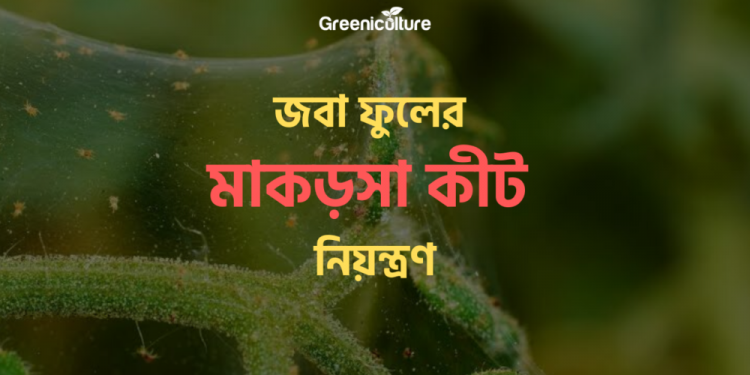 Spider mite prevents from flower