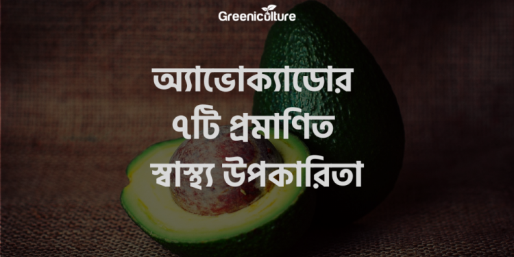 Avocado benefits
