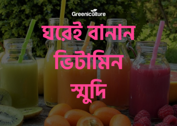 Vitamin smoothie preparation