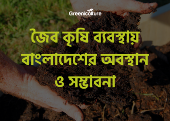 Organic farming in BD