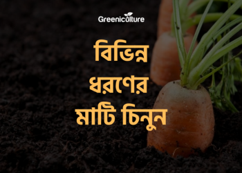 Different soil types