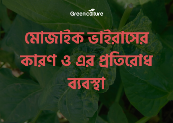 Reason behind mosaic virus