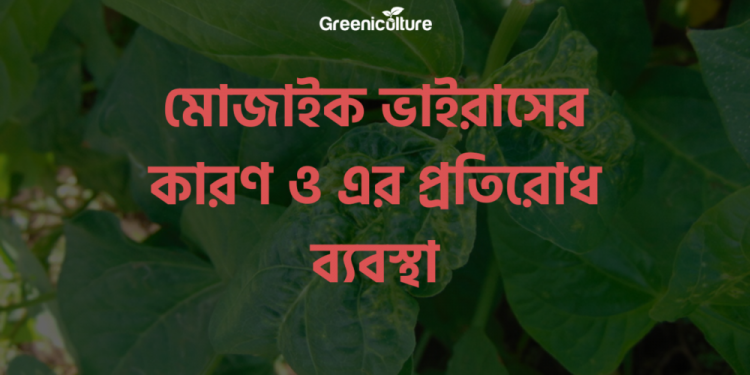 Reason behind mosaic virus