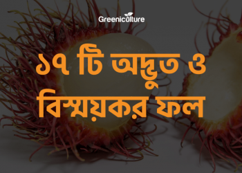 17 Surprising Fruits