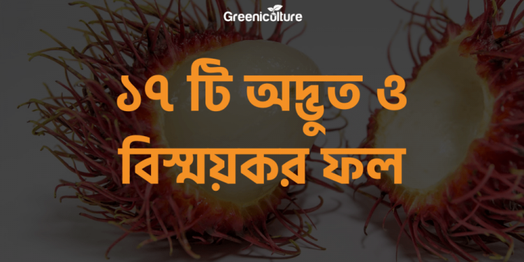 17 Surprising Fruits