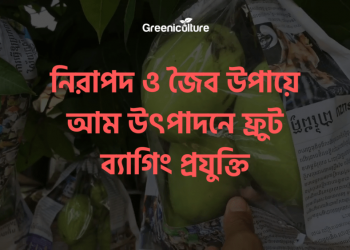 Fruit Bagging technolgy